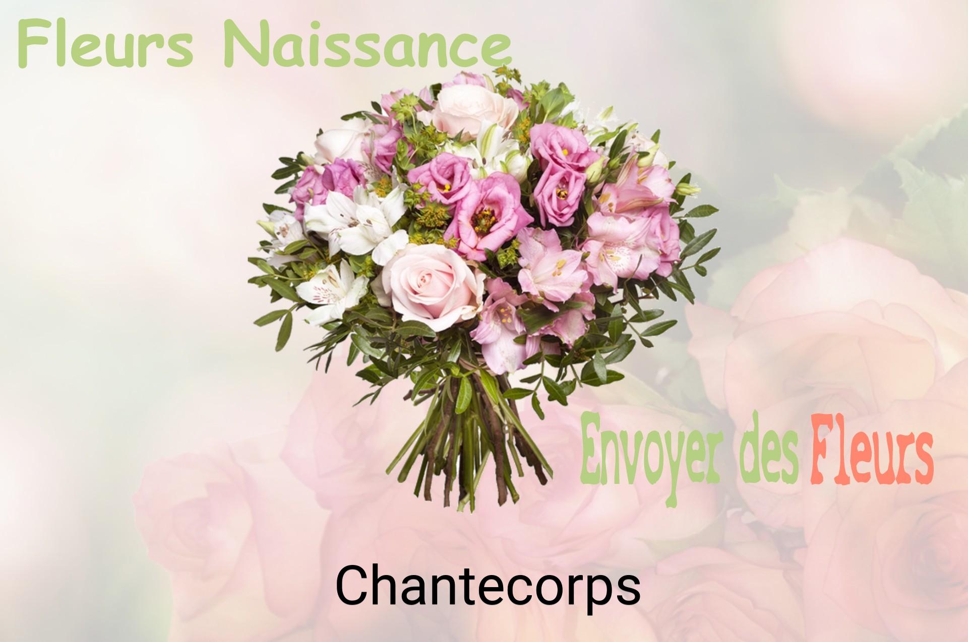 Bouquet de fleurs de naissance livré à Chantecorps